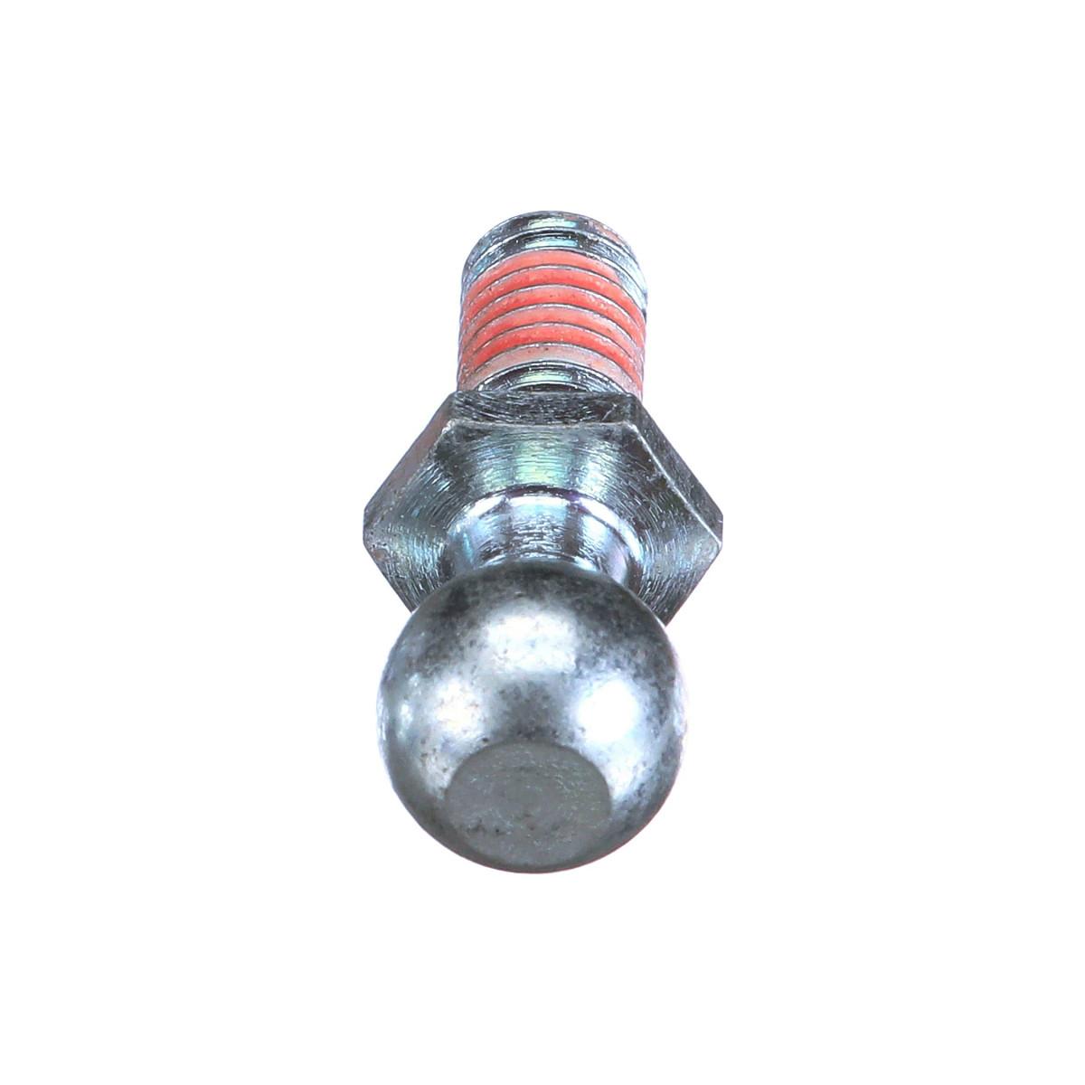 NH-48033593
