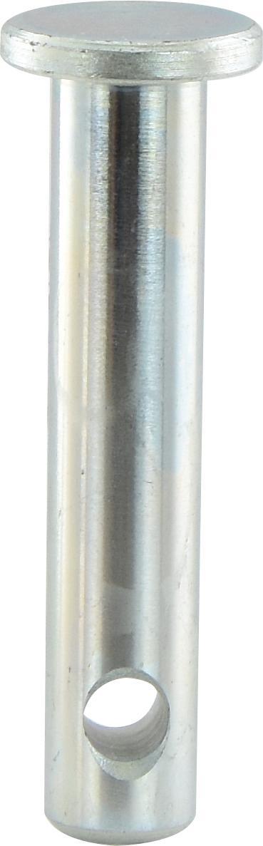 SX-S.2631