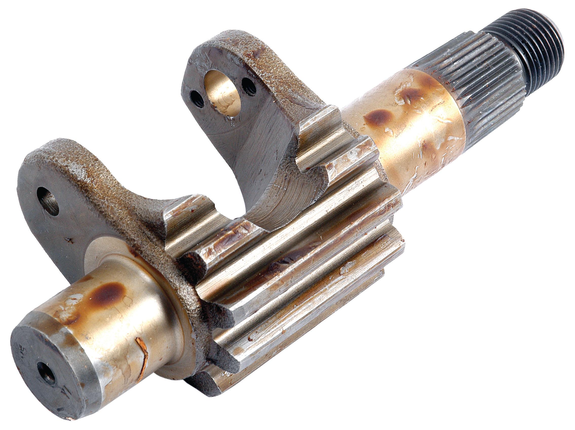 SX-S.40281