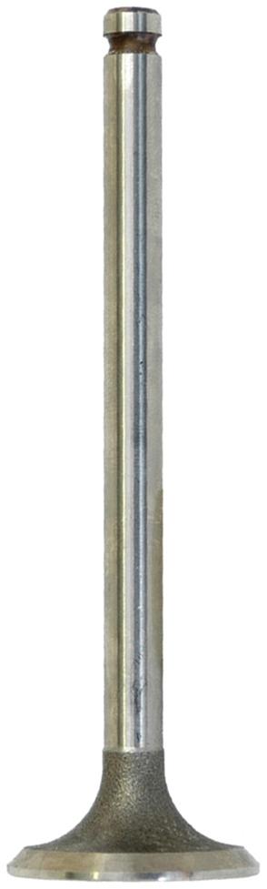 SX-S.40486