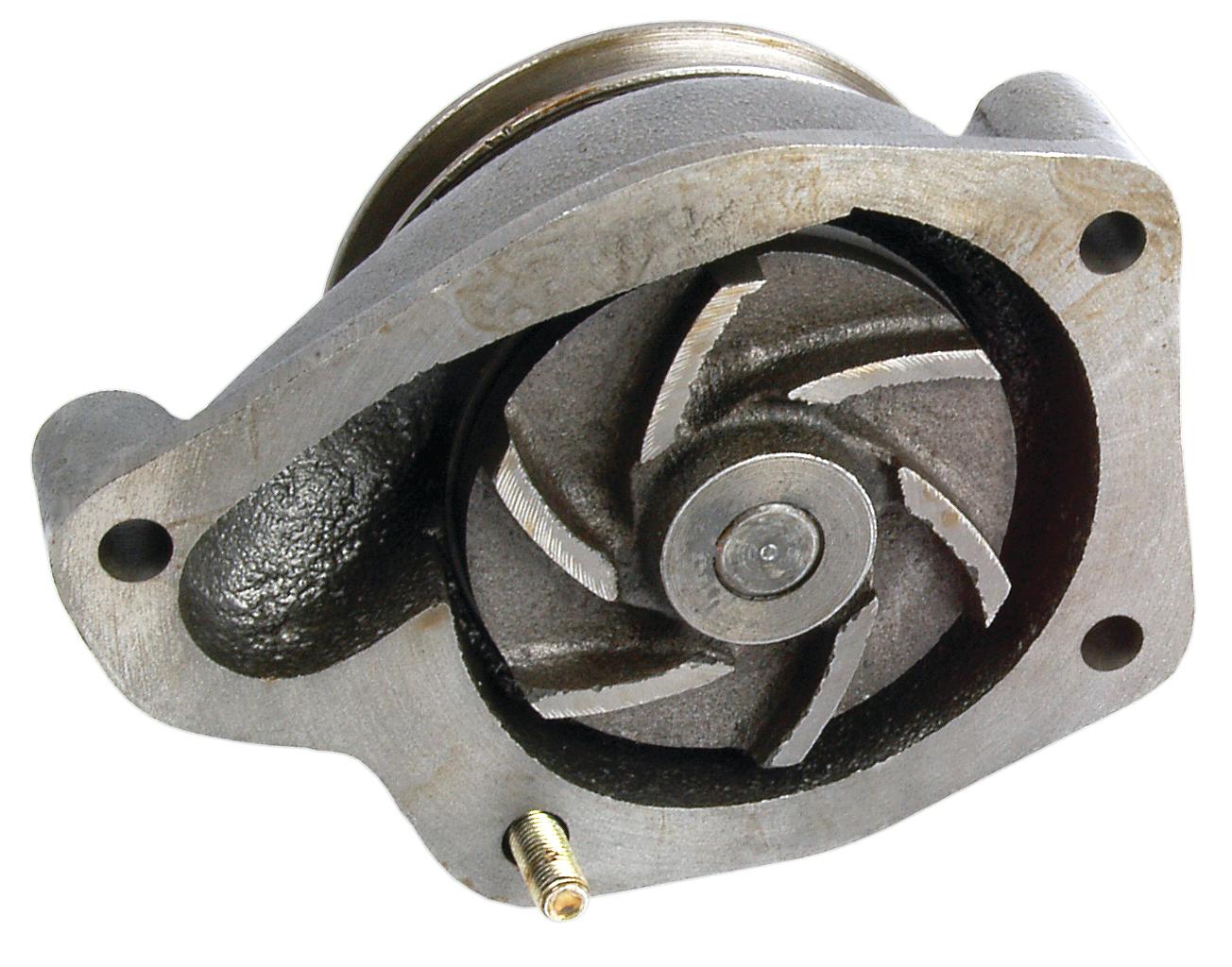 SX-S.42429
