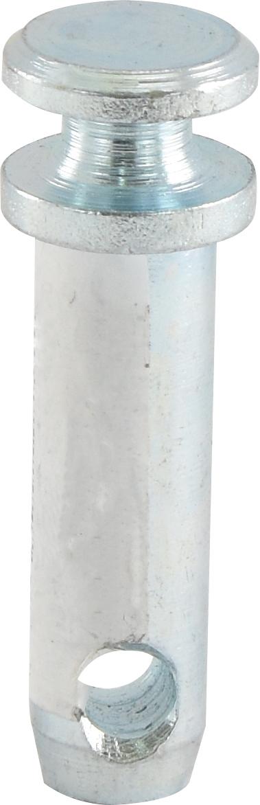 SX-S.53