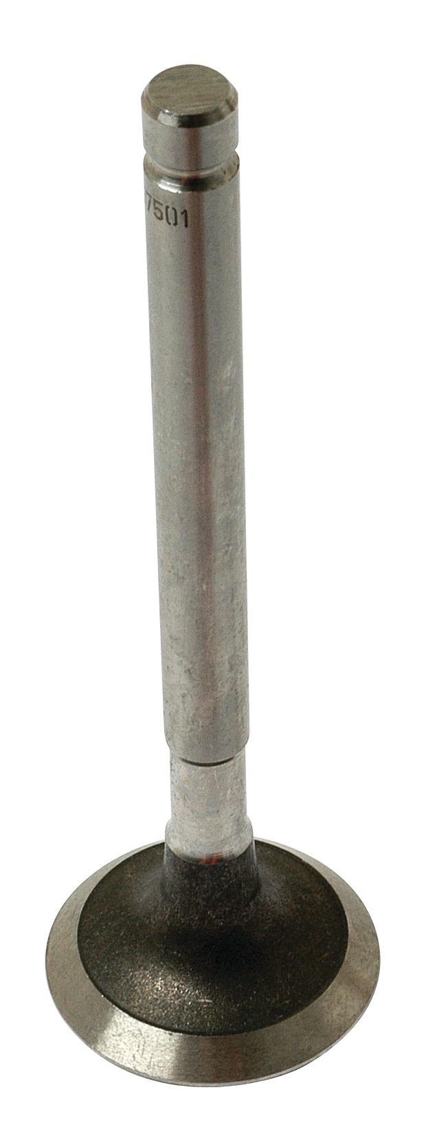 SX-S.57501
