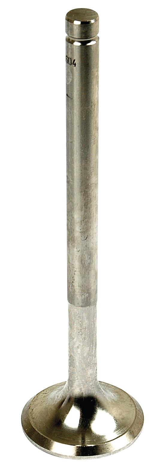 SX-S.57604