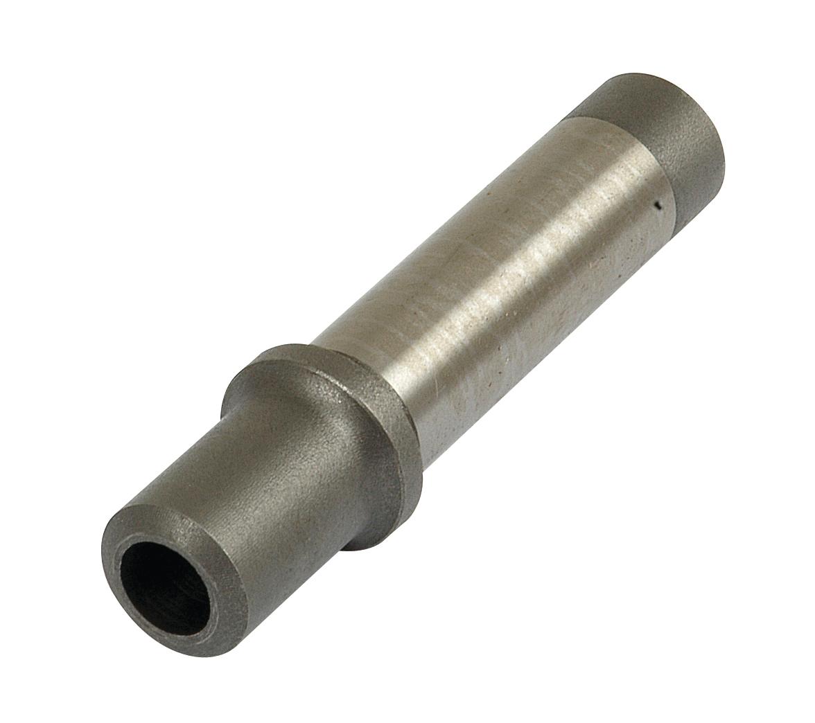 SX-S.57613