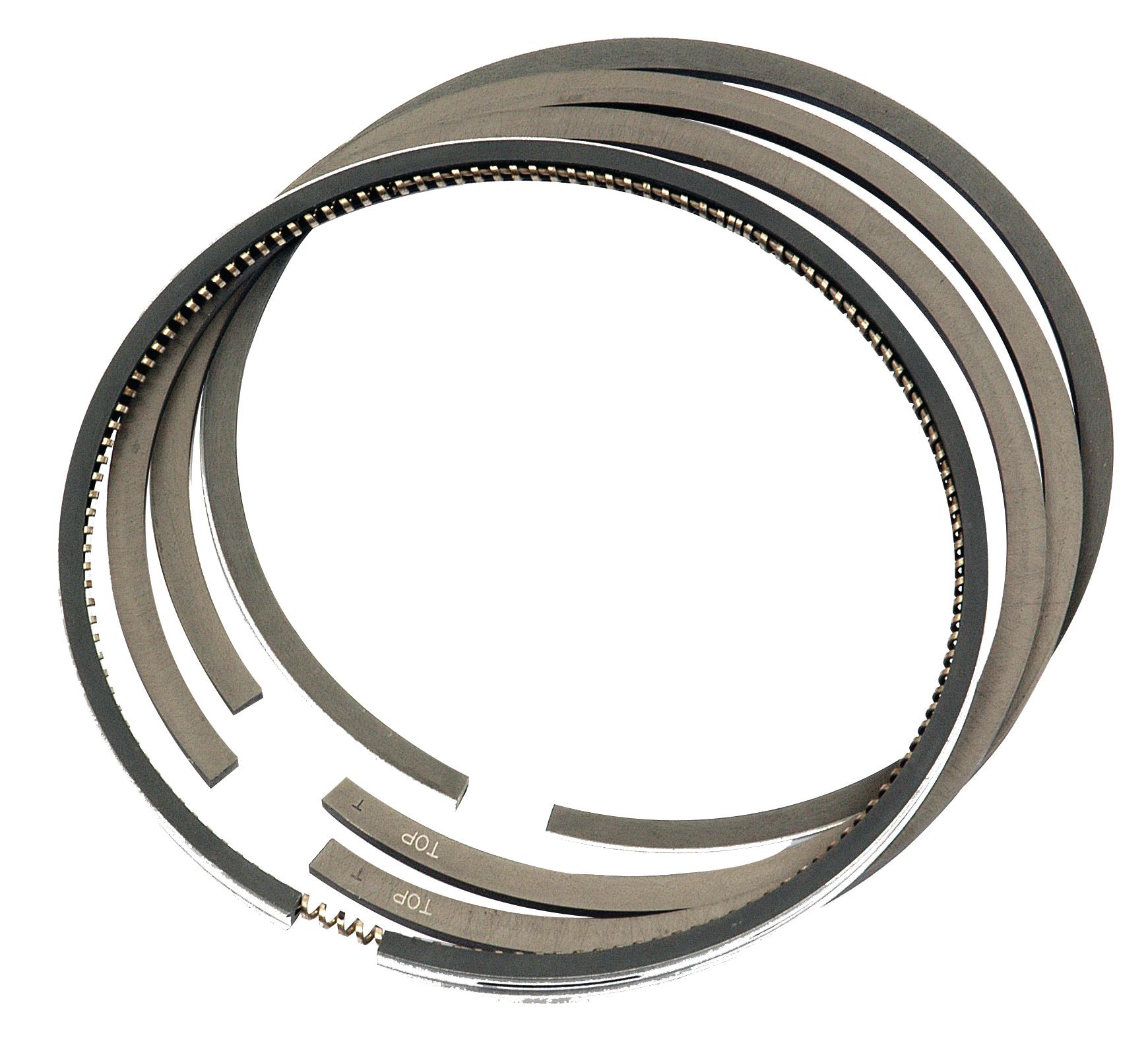 SX-S.69944