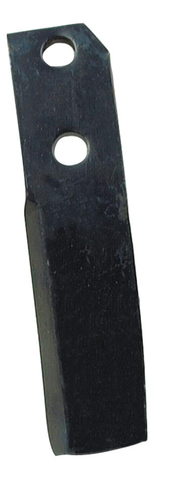 SX-S.77561