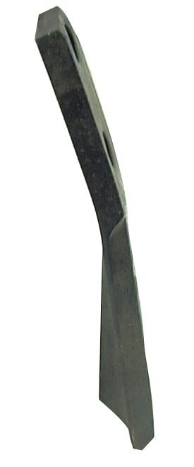 SX-S.77561