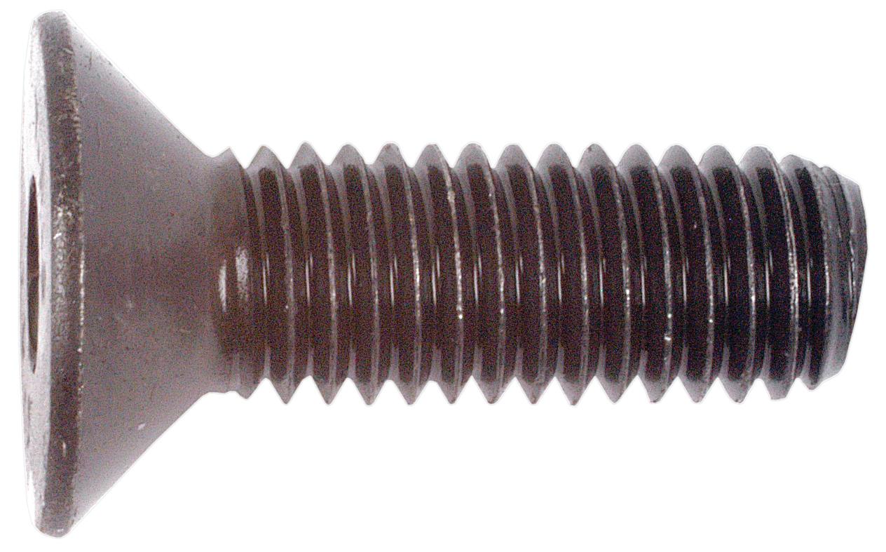 SX-S.11801