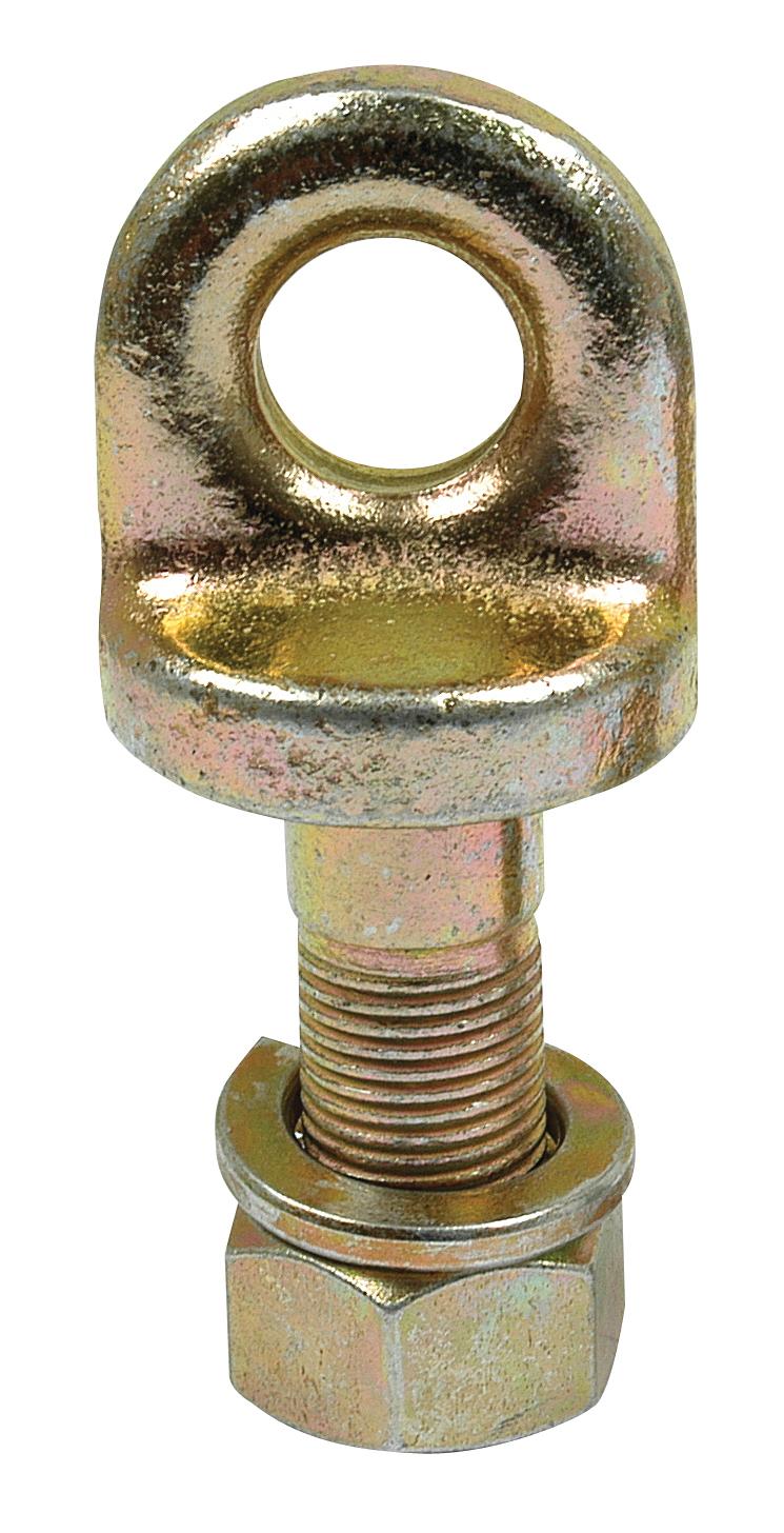 SX-S.13262