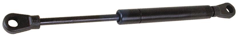 SX-S.19419