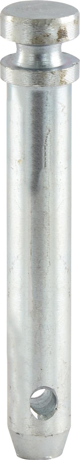 SX-S.3173