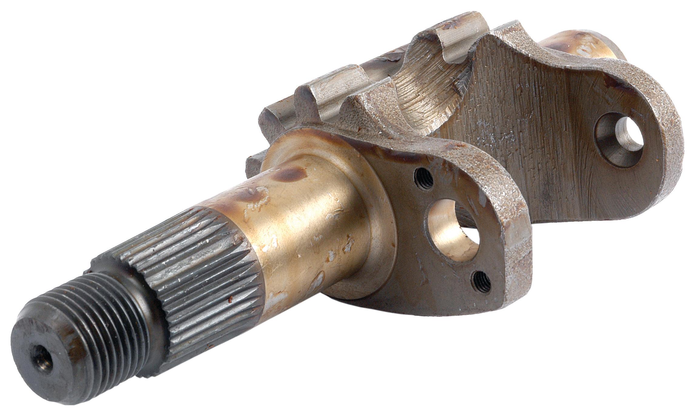 SX-S.40281