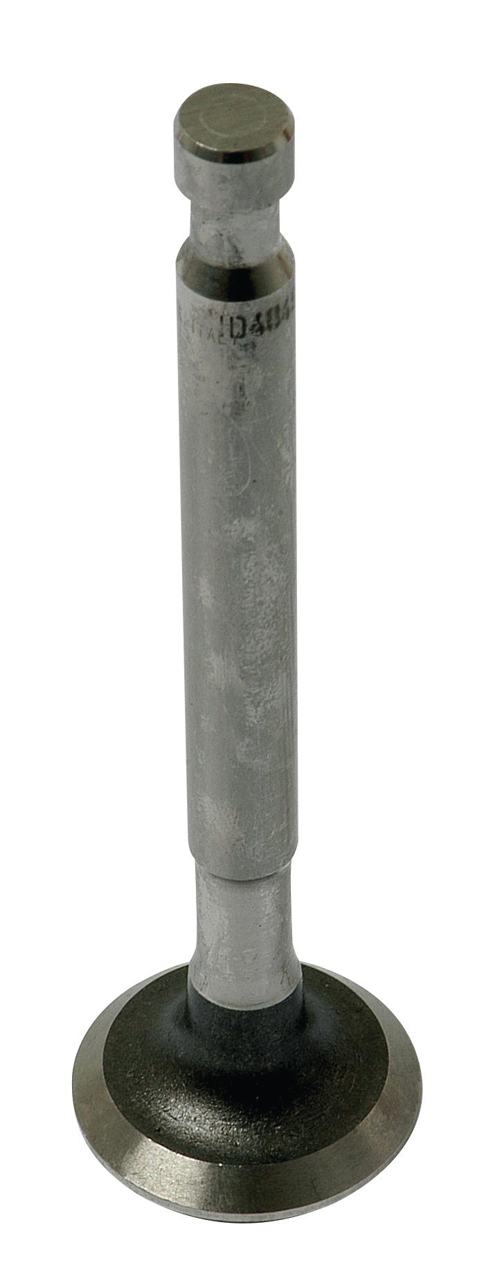 SX-S.40484