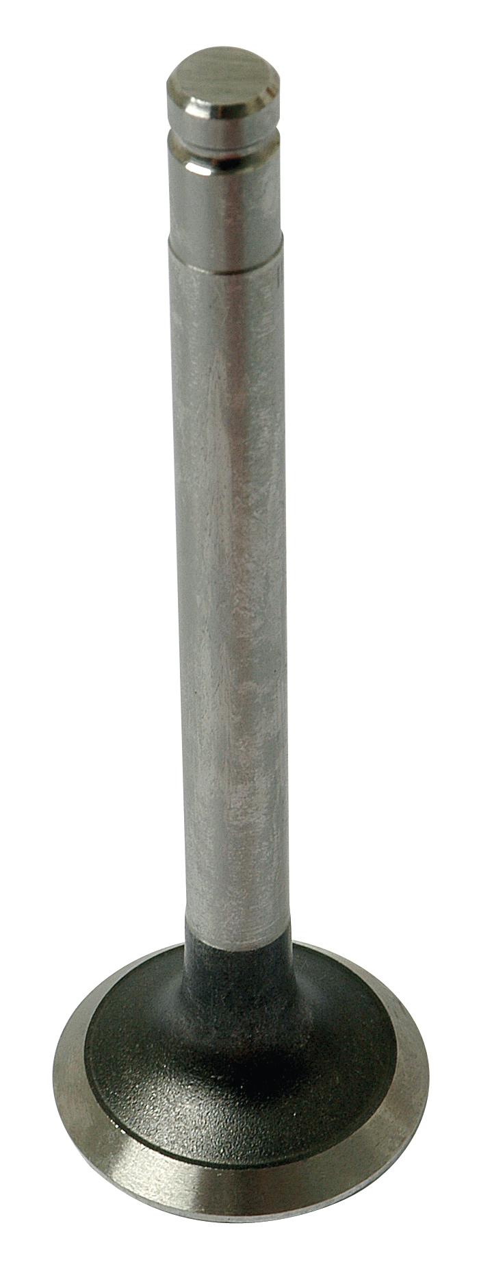 SX-S.40493