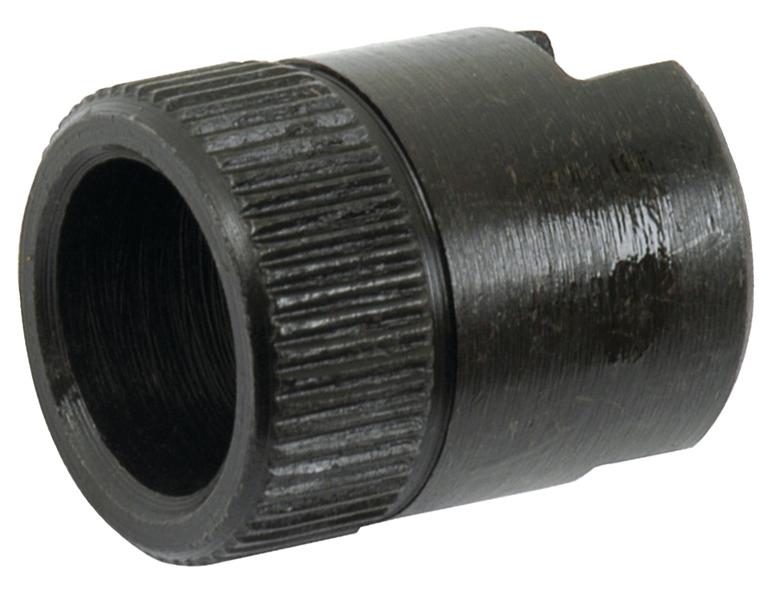 SX-S.41481