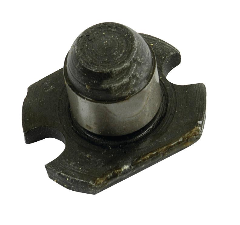SX-S.41566