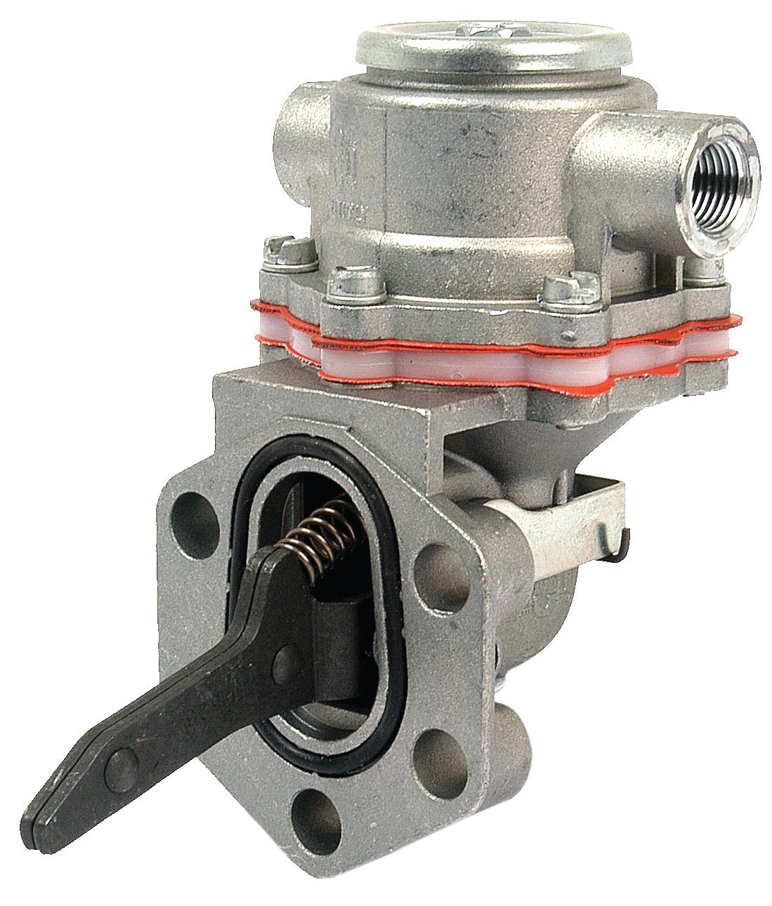 SX-S.58756