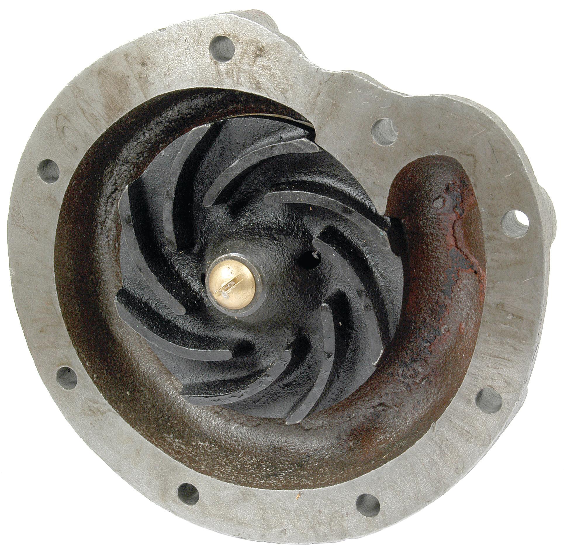 SX-S.63070