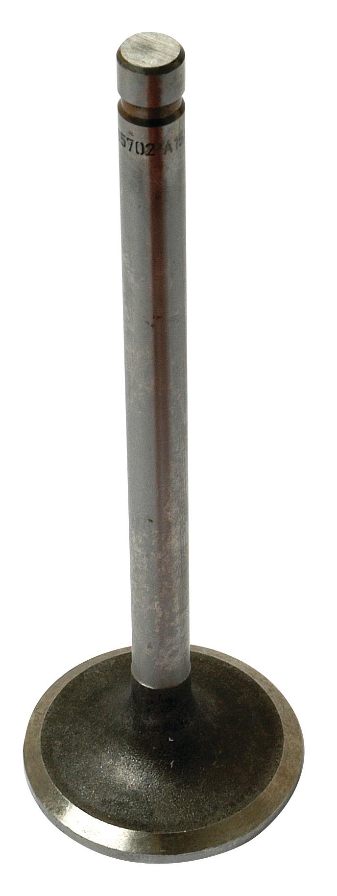 SX-S.65702