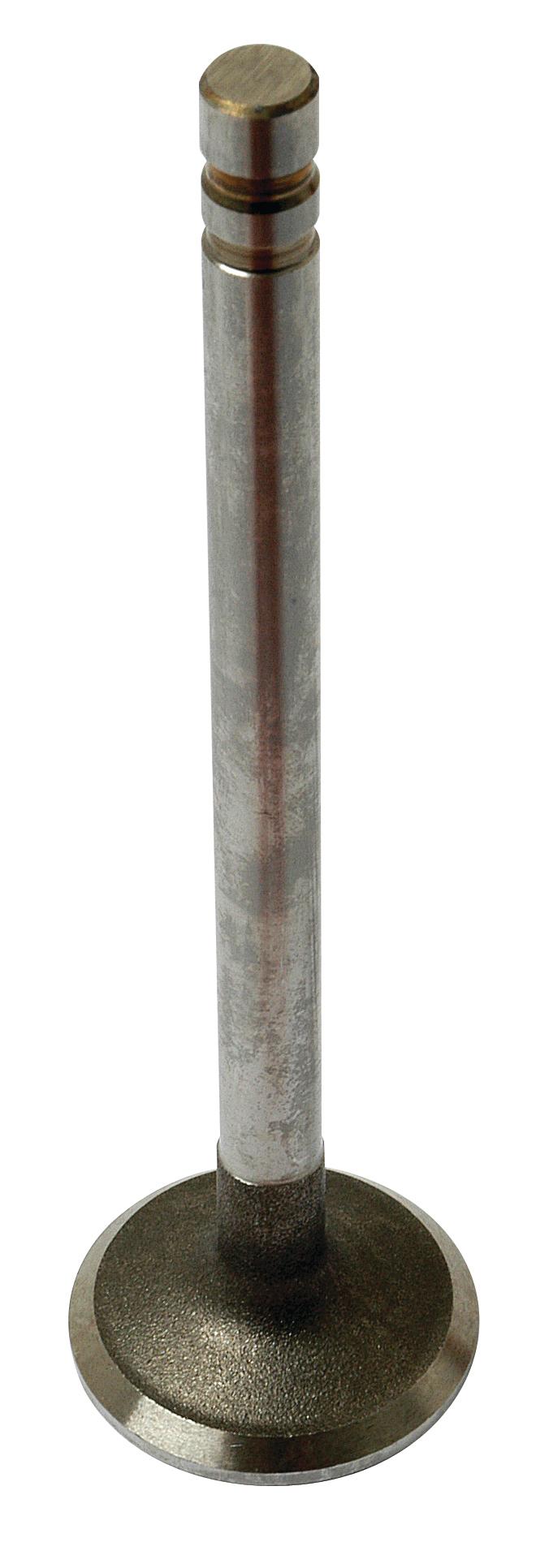 SX-S.65706