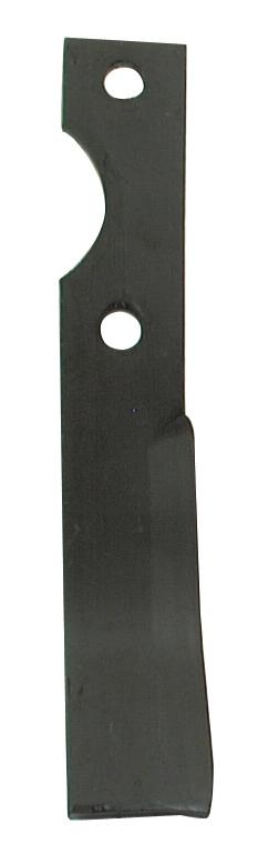 SX-S.77336