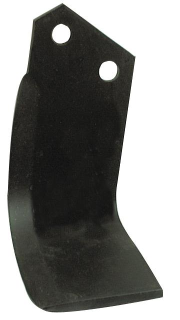 SX-S.77562