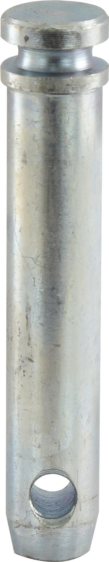 SX-S.81